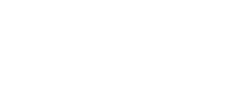 KALEO